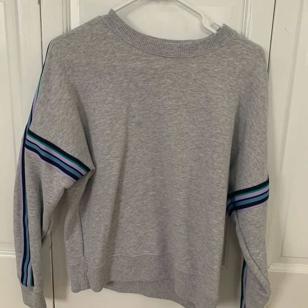 Grey Aerie Sweatshirt with Multi Colored sleeves